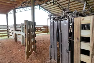 1412 Clark Rd, Blakely, GA 39823 - Photo 39