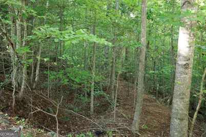 0 Overlook Loop At Young Harris, Young Harris, GA 30582 - Photo 13