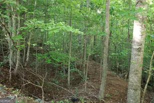 0 Overlook Loop At Young Harris, Young Harris, GA 30582 - Photo 13