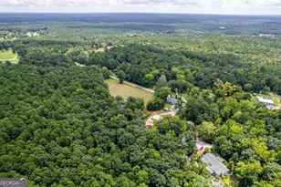 1641 Wrightsville Church Rd, Greensboro, GA 30642 - Photo 55