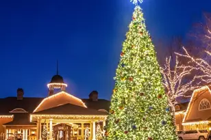 1030 Yazoo Fishery, Greensboro, GA 30642 - Photo 53