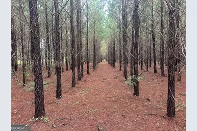 3302 Highway 67, Pembroke, GA 31321 - Photo 13