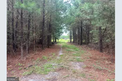 3302 Highway 67, Pembroke, GA 31321 - Photo 19