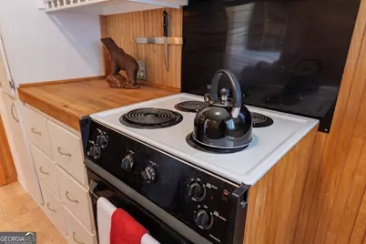 106 Nancy Avenue, Fargo, GA 31631 - Photo 19