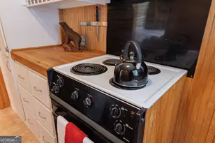 106 Nancy Ave, Fargo, GA 31631 - Photo 19