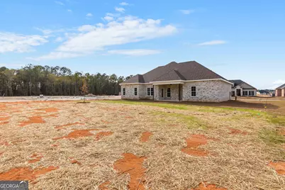 119 Black Birch Lane, Kathleen, GA 31047 - Photo 53