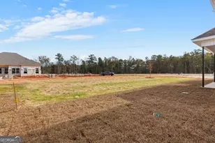 119 Black Birch Ln, Kathleen, GA 31047 - Photo 55