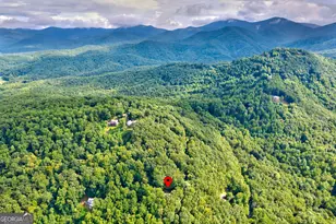 708 Wilson Mountain Rd, Blairsville, GA 30512 - Photo 5