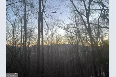 708 Wilson Mountain Road, Blairsville, GA 30512 - Photo 43