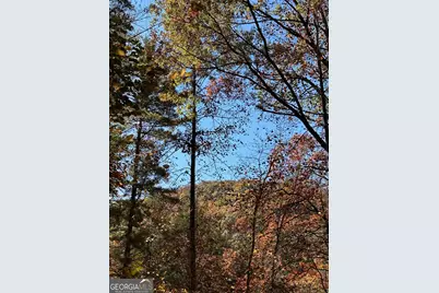 708 Wilson Mountain Road, Blairsville, GA 30512 - Photo 43