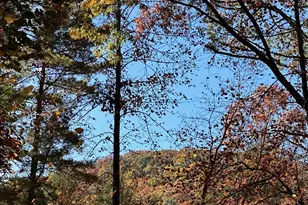 708 Wilson Mountain Rd, Blairsville, GA 30512 - Photo 43