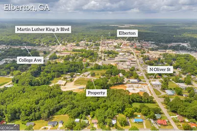 0 North McIntosh Street, Elberton, GA 30635 - Photo 49