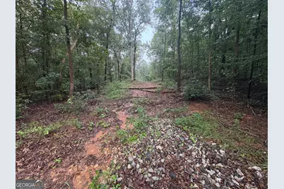 0 Nails Creek Crossing, Royston, GA 30662 - Photo 11