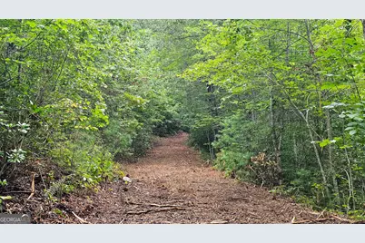 0 Hwy 28, Clayton, GA 30525 - Photo 9