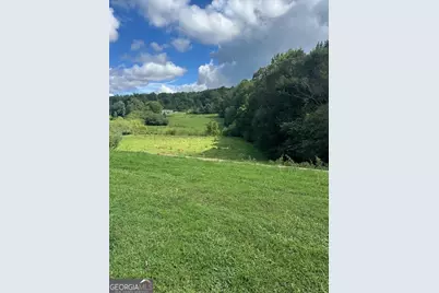 1323 Cavender Creek Road, Dahlonega, GA 30533 - Photo 49