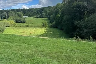 1323 Cavender Creek Rd, Dahlonega, GA 30533 - Photo 49