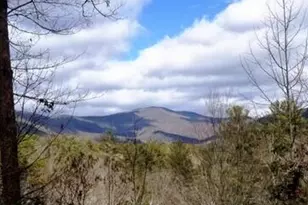 350 Field Dr, Sautee Nacoochee, GA 30571 - Photo 15