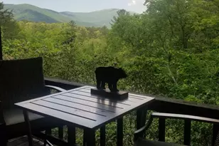 350 Field Dr, Sautee Nacoochee, GA 30571 - Photo 9