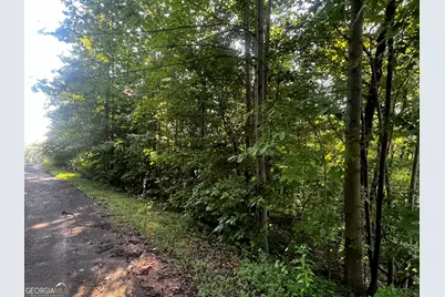 41 Planters Creek, Baldwin, GA 30511 - Photo 5