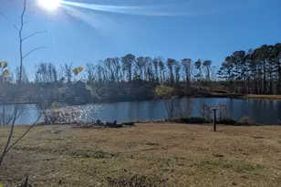 14 Cherokee Resort Rd, Pine Mountain, GA 31822 - Photo 3