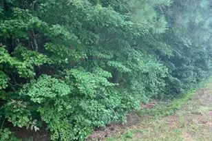 3533 McEver Rd, Gainesville, GA 30504 - Photo 1