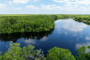 4631 Bailey Mill Rd, White Oak, GA 31568 - Photo 11