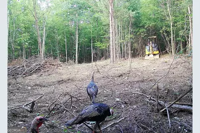 450 Lake Marvin Road, Armuchee, GA 30105 - Photo 7