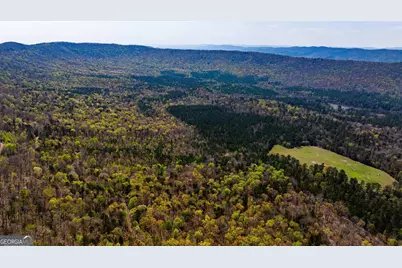 450 Lake Marvin Road, Armuchee, GA 30105 - Photo 3