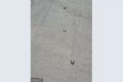 2269 Ga Hwy 119, Guyton, GA 31312 - Photo 3