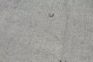 2269 Ga Hwy 119, Guyton, GA 31312 - Photo 3