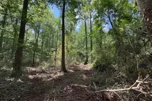 Lot 17 Smith Rd, Thomaston, GA 30286 - Photo 1