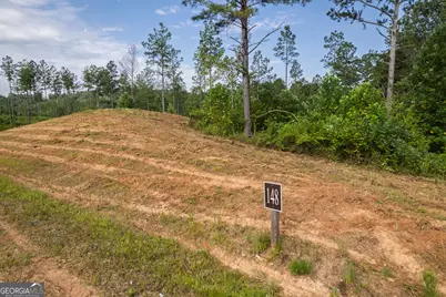 Lot 148 Eddy Waters Circle, Talking Rock, GA 30175 - Photo 19