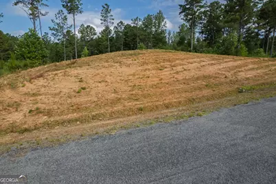 Lot 148 Eddy Waters Circle, Talking Rock, GA 30175 - Photo 11