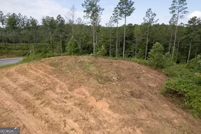 Lot 148 Eddy Waters Circle, Talking Rock, GA 30175 - Photo 15
