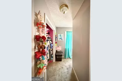 152 Owl Head Trail, Hazlehurst, GA 31539 - Photo 47