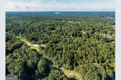 10+/- Acres Walker Church Road, Greensboro, GA 30642 - Photo 7