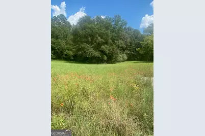 1764 Flatbottom, Ball Ground, GA 30107 - Photo 3