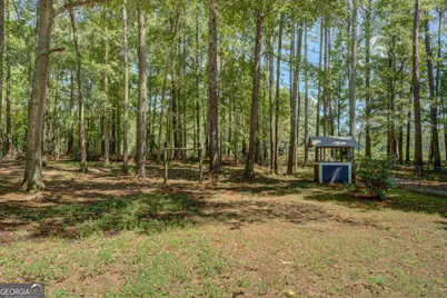 2733 Pitts Chapel Road, Newborn, GA 30056 - Photo 5