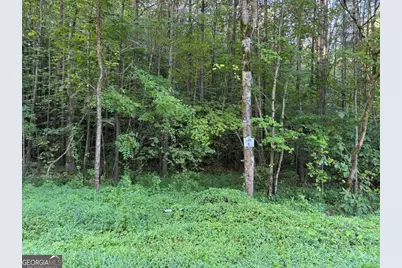 0 W Price Creek Road, Talking Rock, GA 30175 - Photo 1