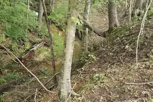 2082 Stroud Rd, Jackson, GA 30233 - Photo 9