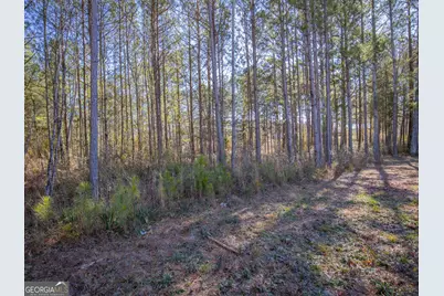 3247 Ga-120 Highway, Tallapoosa, GA 30176 - Photo 19