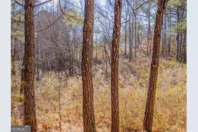 3247 Ga-120 Highway, Tallapoosa, GA 30176 - Photo 15