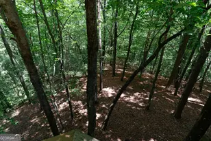 1427 Cherry Lake Drive, Blue Ridge, GA 30513 - Photo 53