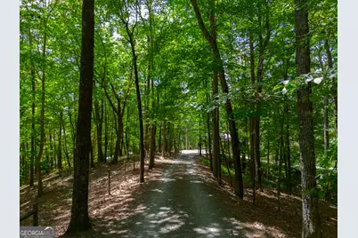 1427 Cherry Lake Drive, Blue Ridge, GA 30513 - Photo 59