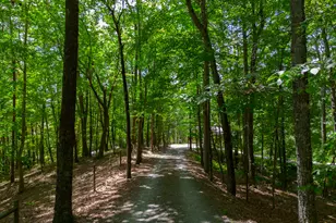 1427 Cherry Lake Drive, Blue Ridge, GA 30513 - Photo 59