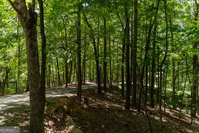 1427 Cherry Lake Drive, Blue Ridge, GA 30513 - Photo 57