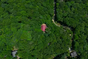 1427 Cherry Lake Drive, Blue Ridge, GA 30513 - Photo 63