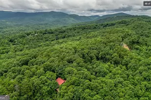 1427 Cherry Lake Drive, Blue Ridge, GA 30513 - Photo 49