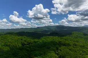 1427 Cherry Lake Drive, Blue Ridge, GA 30513 - Photo 61