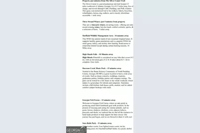 1397 McPherson Church Road, Dallas, GA 30132 - Photo 13